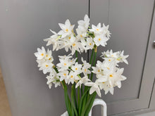 Load image into Gallery viewer, 12/02/21  Spring tones (6) Lockdown 3.0