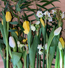 Load image into Gallery viewer, 25/02/22 Spring blooms 2022 (8)