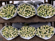 Load image into Gallery viewer, 04/02/22 BRITISH ECO OPTION Spring blooms 2022( regular and large size options) (5)