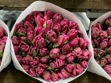 Load image into Gallery viewer, 04/02/22 BRITISH ECO OPTION Spring blooms 2022( regular and large size options) (5)