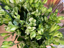 Load image into Gallery viewer, 01/10/20 Tess's dahlias and autumn tones including calla lilies.