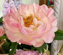 Load image into Gallery viewer, 29/5/20 Peony and May flowers Bouquet 100% British grown blooms
