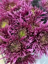 Load image into Gallery viewer, 16/10/20 Autumn tones