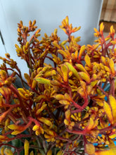 Load image into Gallery viewer, 01/10/20 Tess's dahlias and autumn tones including calla lilies.