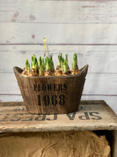 Load image into Gallery viewer, Lockdown 3.0 Bulb collection