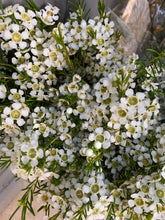 Load image into Gallery viewer, 01/10/20 Tess's dahlias and autumn tones including calla lilies.