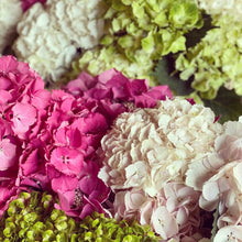 Load image into Gallery viewer, 17/07/20 Lily and hydrangea Bouquet 100% British grown blooms