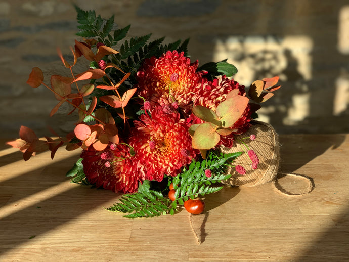 29/10/21 Autumn blooms (43)
