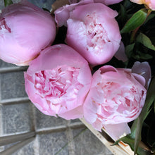 Load image into Gallery viewer, 29/5/20 Peony and May flowers Bouquet 100% British grown blooms