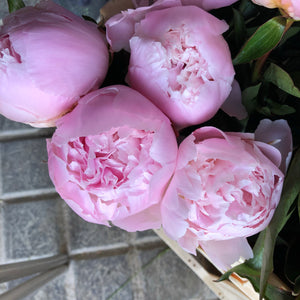 29/5/20 Peony and May flowers Bouquet 100% British grown blooms