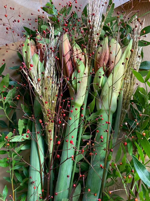 20/11/20  Simply amaryllis, wax flower and eucalyptus.